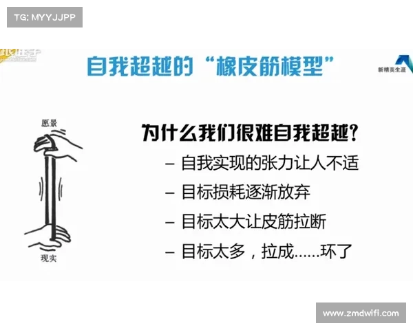 如何根据个人优势与市场需求选择适合的职业及战术搭配策略 如何根据个人优势与市场需求选择适合的职业及战术搭配策略
