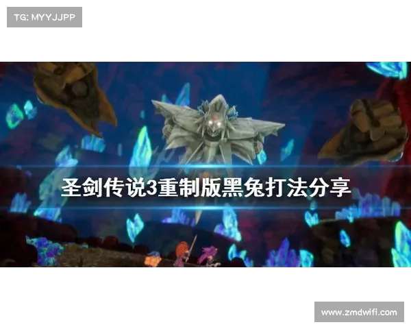 黑暗圣剑传说修改器必备技巧大全与使用攻略分享