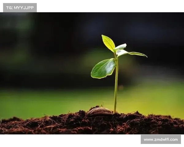 奥利塞职业生涯的成功经验对年轻球员成长的深刻启示