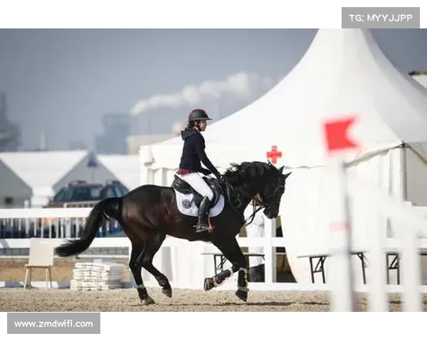 如何通过技巧表现和赛道完成度评判上海马术比赛的胜负